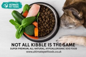 Two bowls of dog food with varying ingredients sit on a kitchen floor.