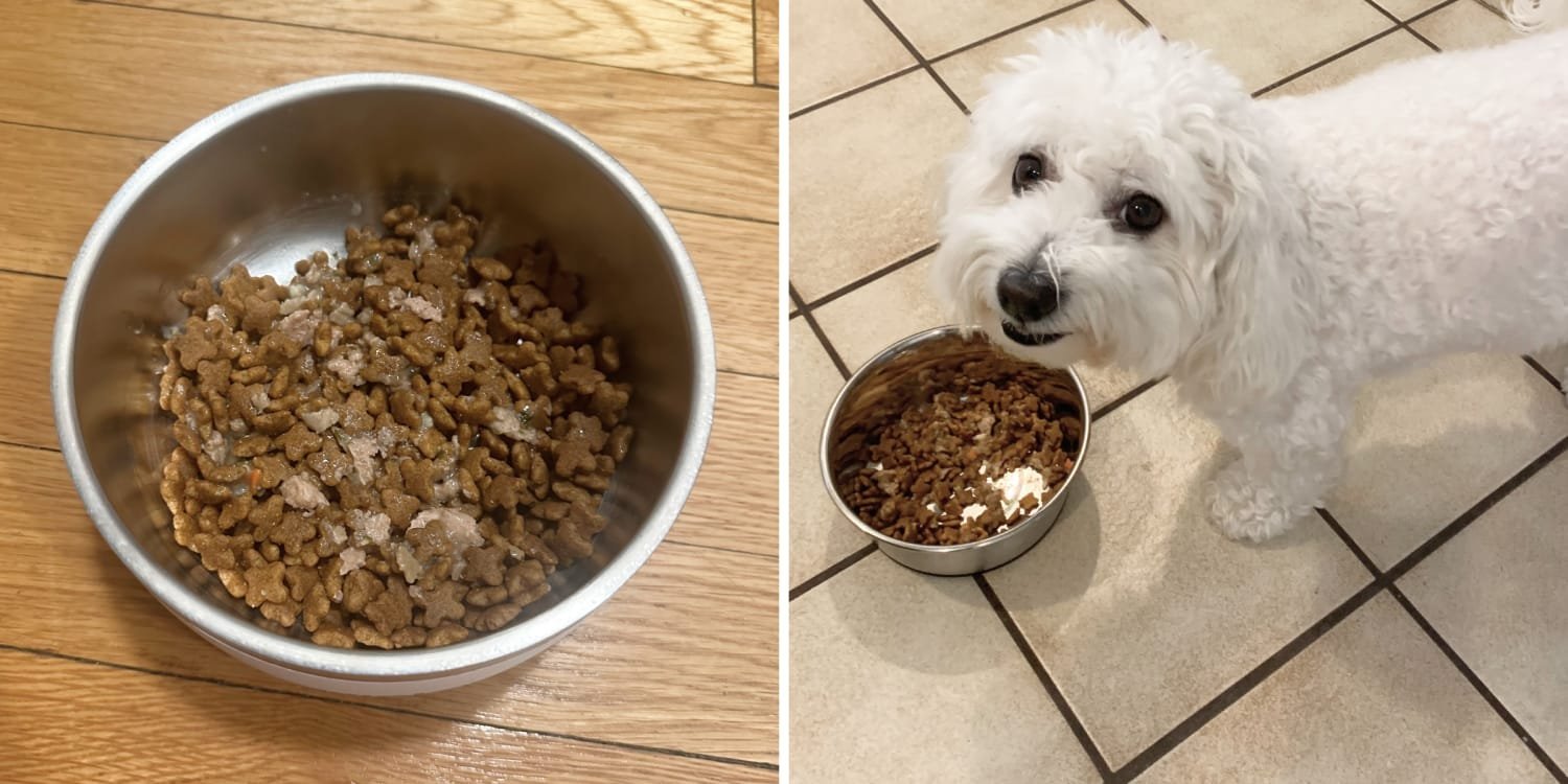 Measuring out a precise portion of nutritious dog food for a pet.