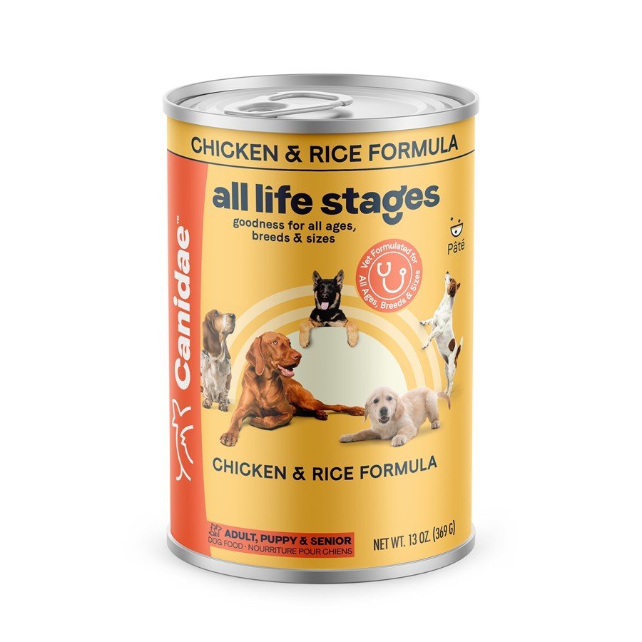 A stainless steel bowl with daily dog food portioned for a healthy pet.