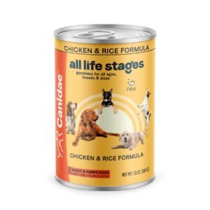 A happy dog waiting by a bowl of food for its daily meal.