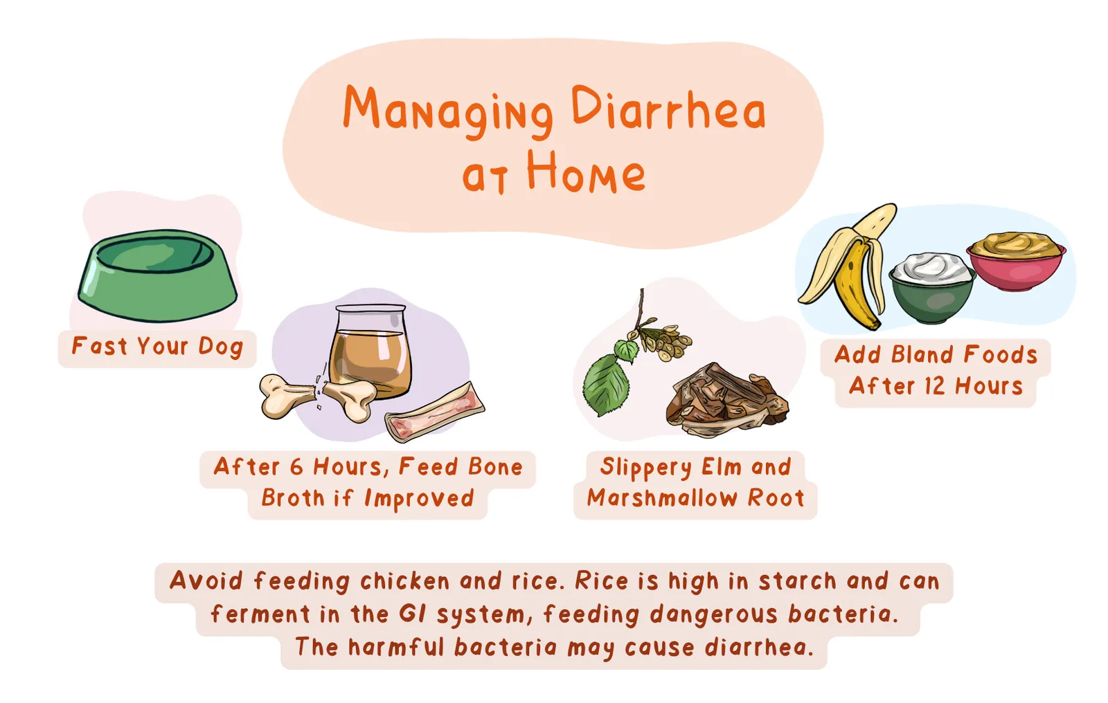 Different portion sizes of dog food measured to maintain a healthy weight.