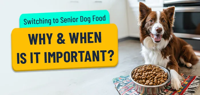 Different types of healthy dog food arranged in bowls on a table.