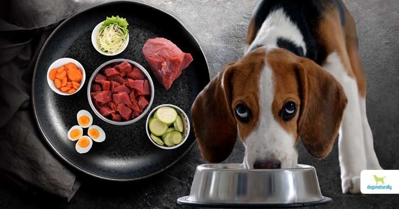 Nutritious homemade ingredients being prepared in a bowl for a dog.