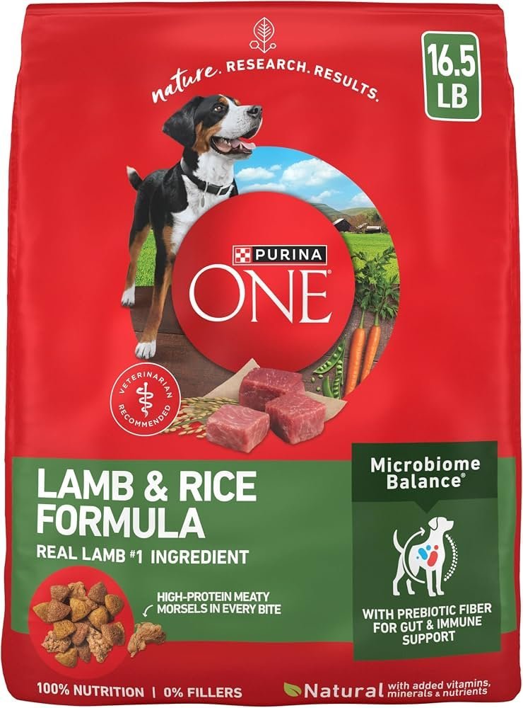 A veterinarian consulting about the best dog food options for a pet.