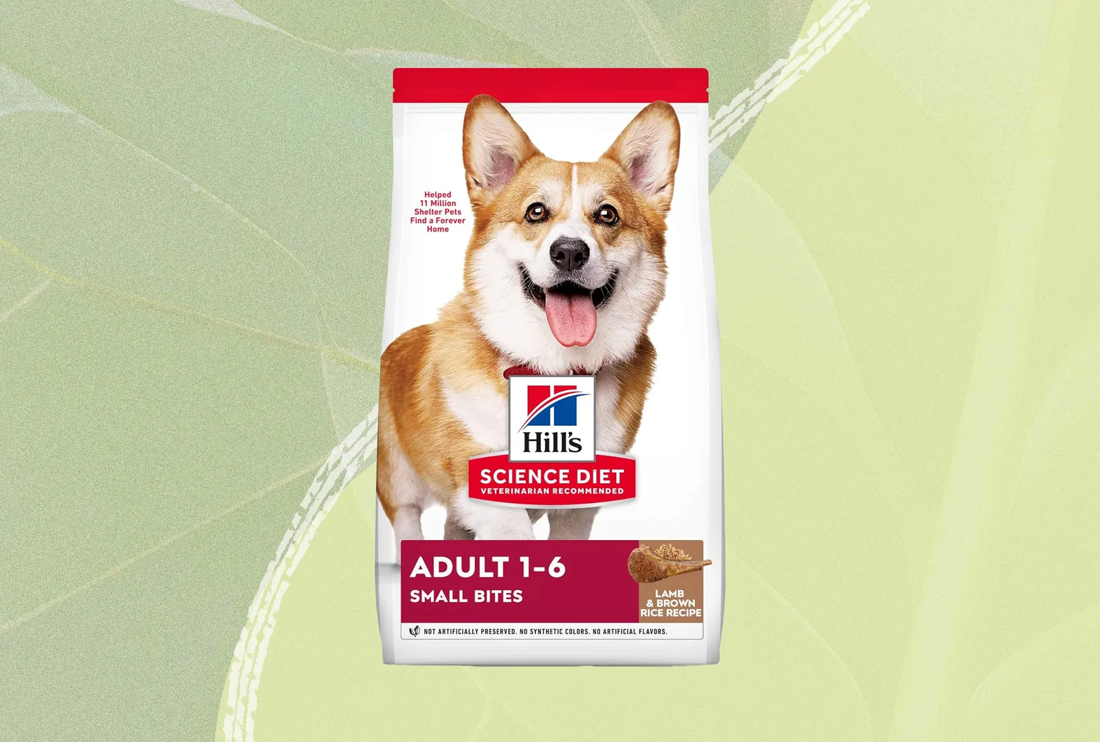 A dog sits calmly while an owner prepares to ask questions about nutrition.