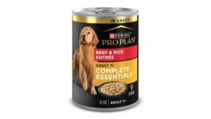 A gentle senior dog enjoying a bowl of nutritious soft dog food at home.
