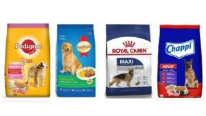 A golden retriever sitting near premium dog food in a modern bright kitchen.