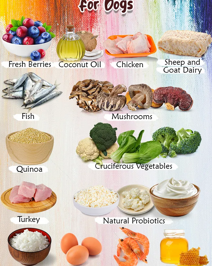 A hand measuring food to avoid common diet mistakes for a dog.
