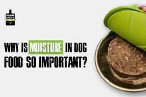 A happy dog sitting beside a bowl of nutritious dog food at home.