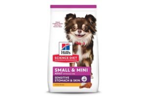 A happy small breed dog eating premium dry dog food in a kitchen.