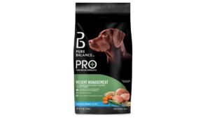 A healthy dog waiting to eat a bowl of high-quality nutrient-dense dog food.