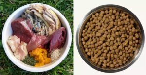 A healthy dog waiting to eat a bowl of nutritious dog food.