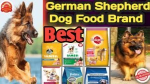 A healthy German Shepherd puppy looking at a bowl of nutritious dog food.