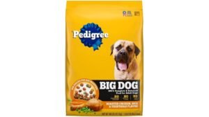 A healthy Golden Retriever waiting to eat high-quality dog food for large breeds.