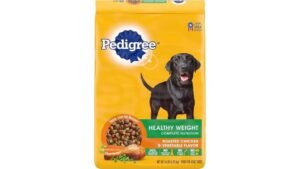 A healthy Pit Bull Terrier stands near a bowl of nutritious dog food.