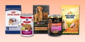 A happy dog sitting beside a bowl of nutritious dog food.