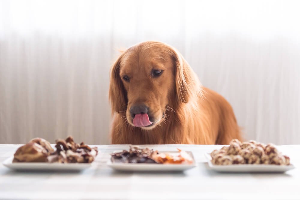 A visual comparison between whole-food ingredients and generic kibble for dog food.