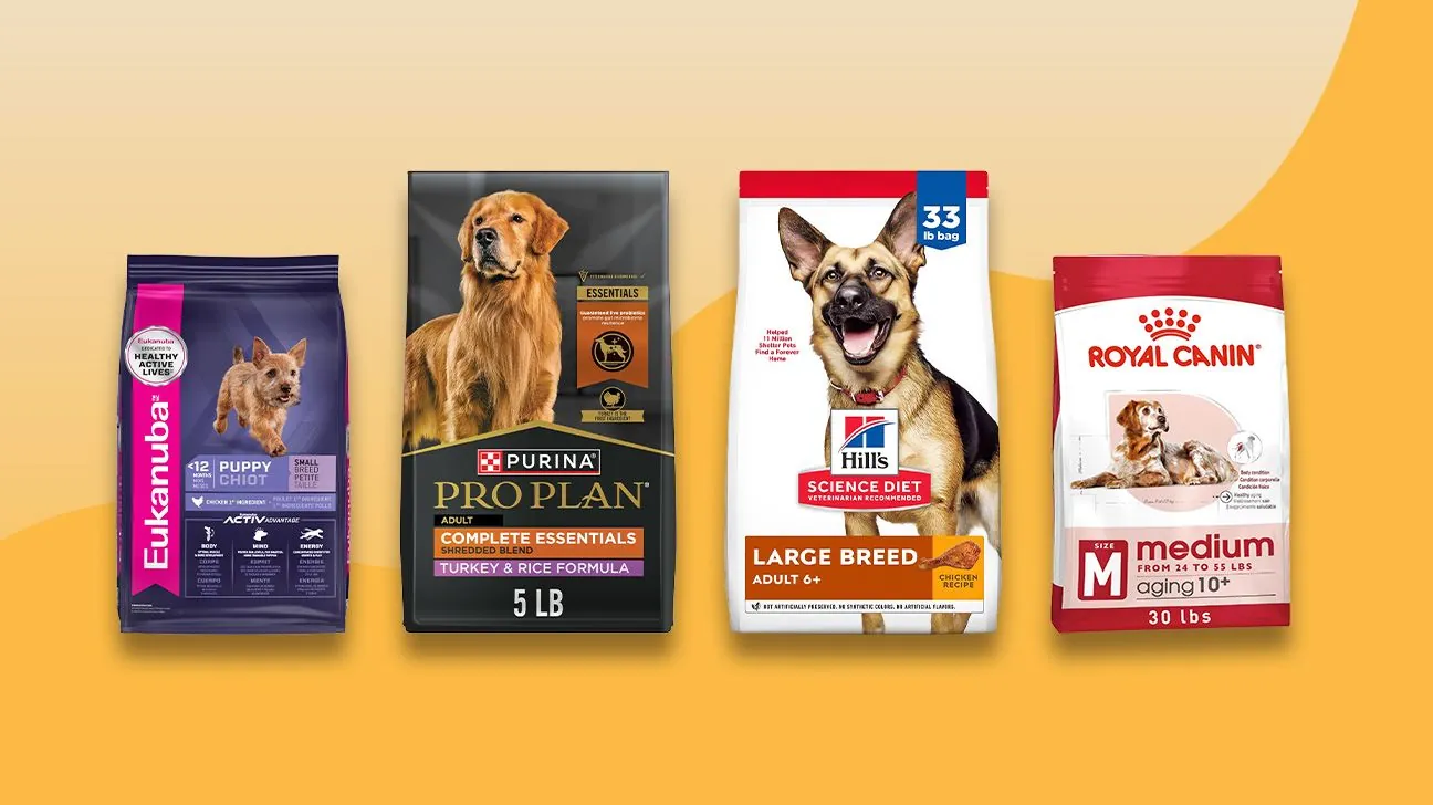 A messy kitchen counter showing improper dog food storage and feeding habits.