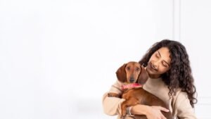 A small dog sitting next to premium dog food for picky eaters.