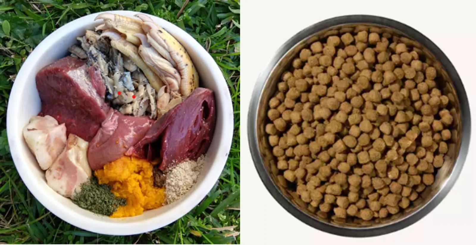 Two bowls showing a measured transition between old and new dog food.