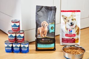 A golden retriever sitting beside a bowl of premium dog food.