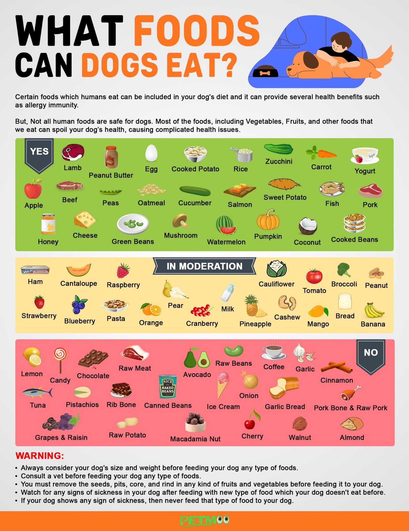 A veterinarian reviewing specialized diet requirements for a dog with medical conditions.