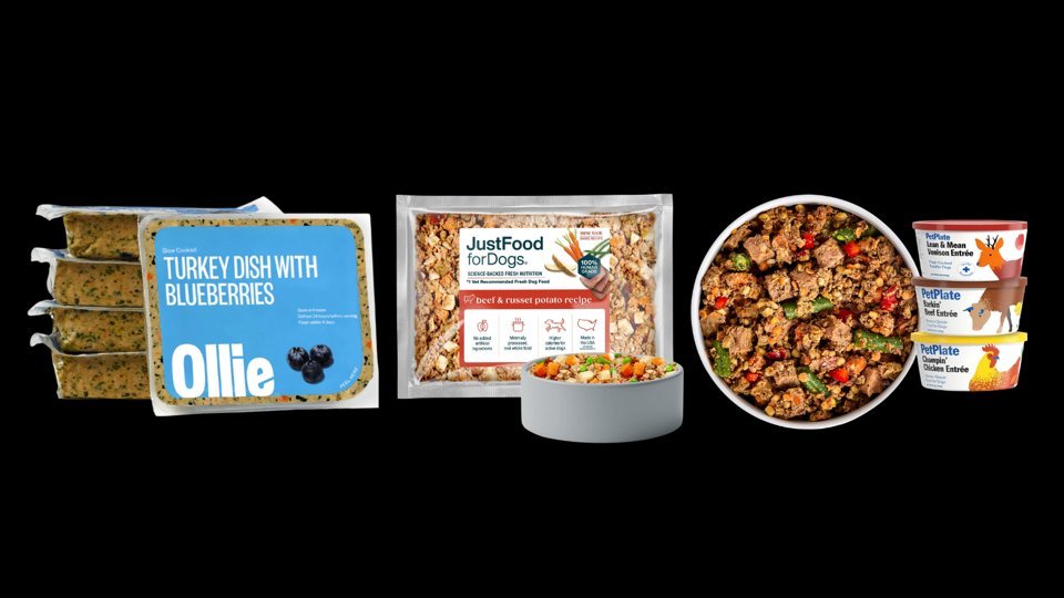 A balanced meal transition plan for a dog switching to fresh food.