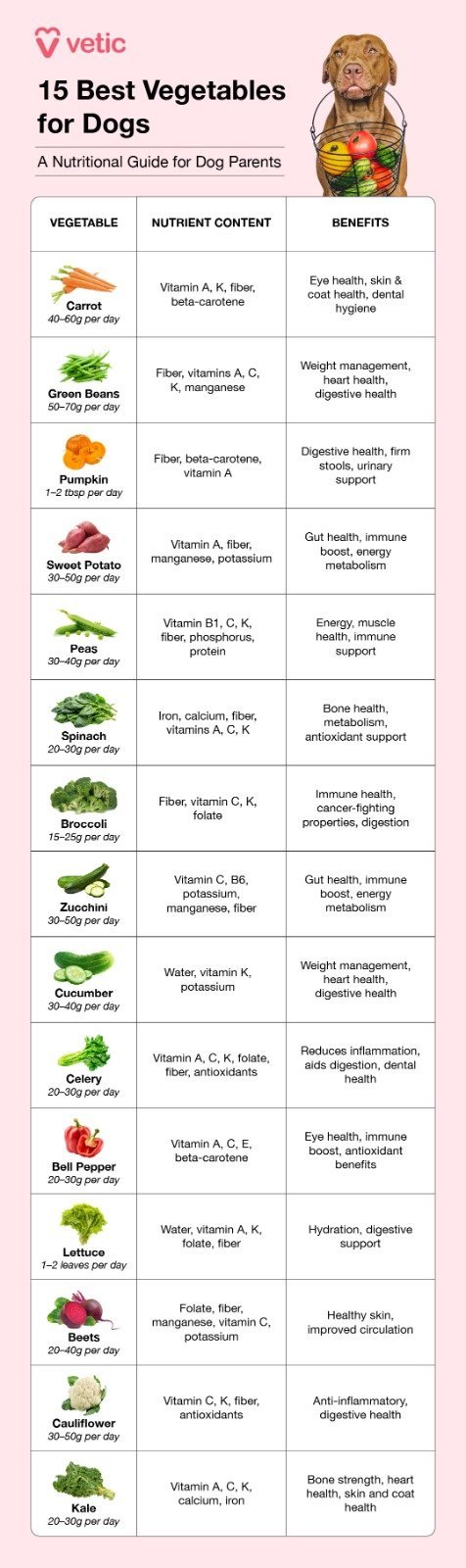 Pureed vegetables and white rice prepared as specialized fresh foods for dogs.