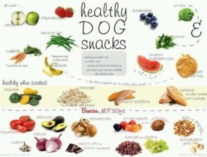 A bowl filled with healthy dog foods including chicken and fresh vegetables.