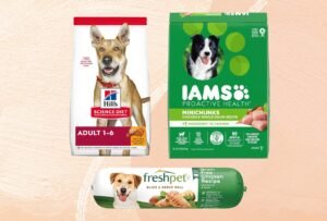 A golden retriever sits beside bags of the healthiest dog foods available.