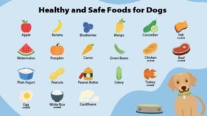A healthy dog waiting to eat a balanced meal of fresh, dog-safe ingredients.