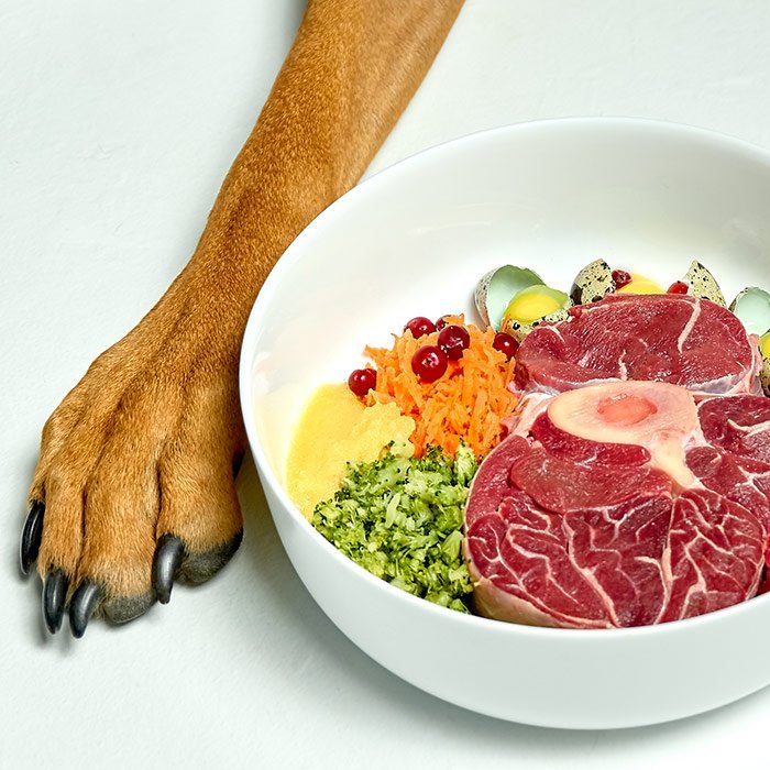 Preparing fresh chicken breast by chopping it into small pieces for a dog.