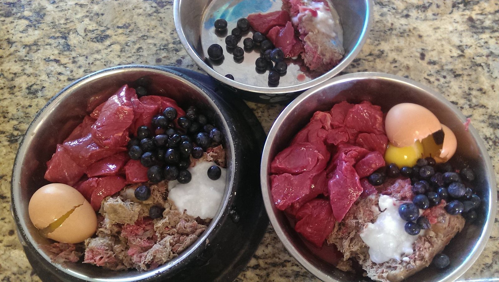 Measuring dry dog food into a bowl for a balanced daily meal.