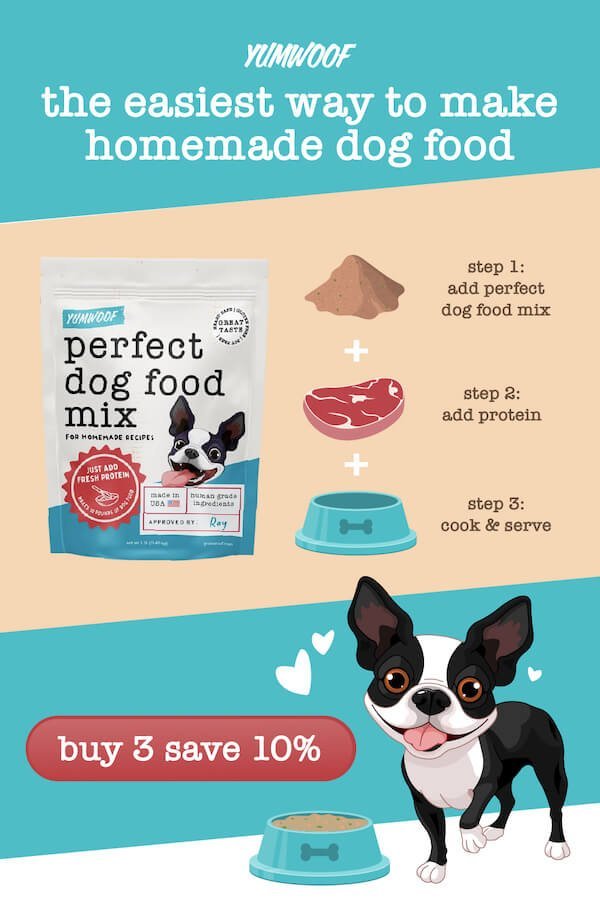 Hands carefully mixing new dog food into an old diet for a transition.