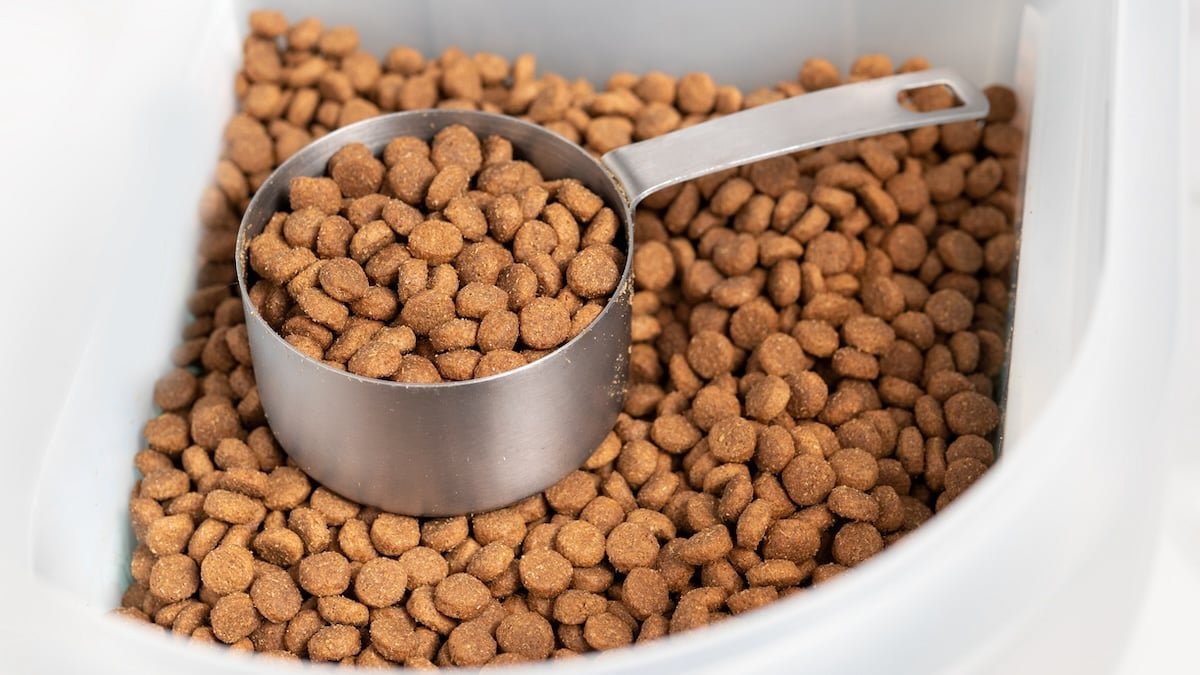 A scoop of premium dog food kibble showing visible meat and grain ingredients.
