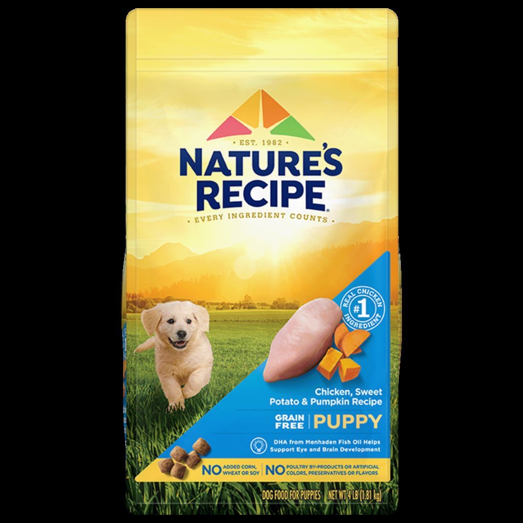 A variety of dog food options arranged neatly on a wooden table.