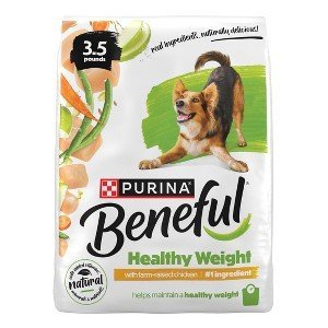 Measuring portioned dry kibble into a stainless steel bowl for a healthy dog.