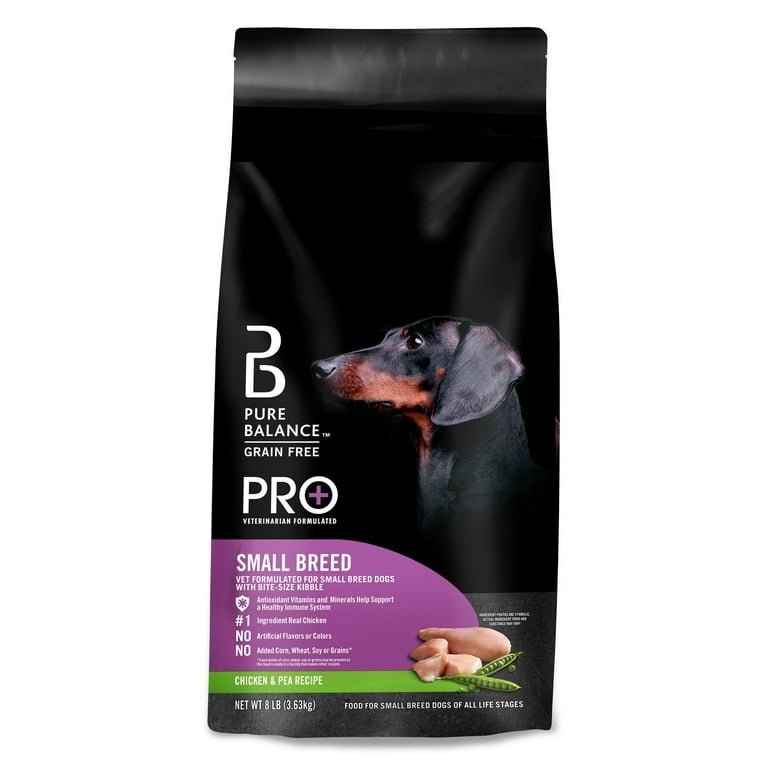 A quiet corner with a dog bed and resources for healthy dog nutrition.