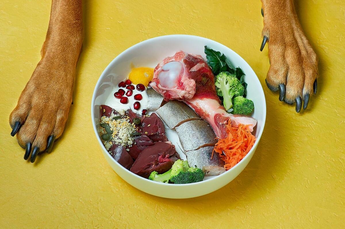 Measuring dry dog food on a scale for accurate nutrition.