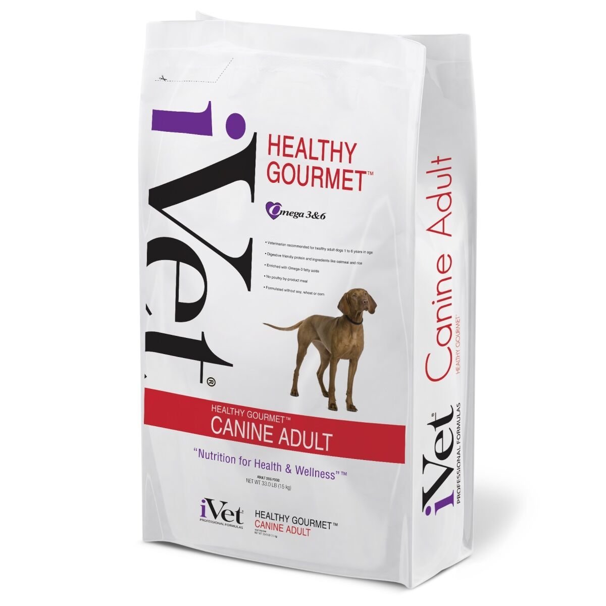 A senior dog resting near specialized veterinary prescription food.