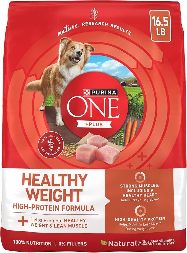 Various types of healthy dog food arranged neatly on a counter.