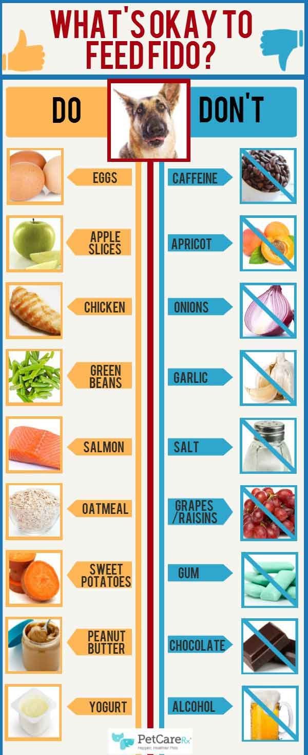 A clean setup of dog food supplies and notes for nutritional questions.