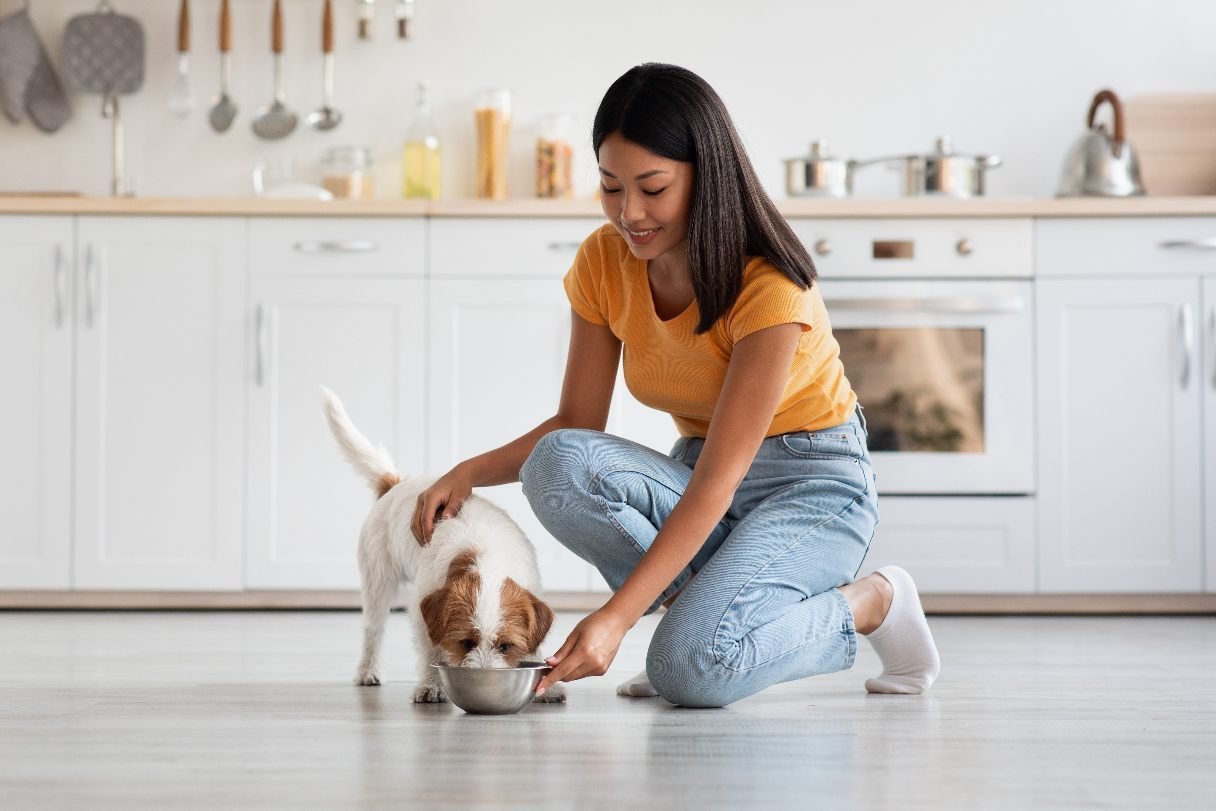 Measuring the correct portion of dry dog food into a clean ceramic bowl.