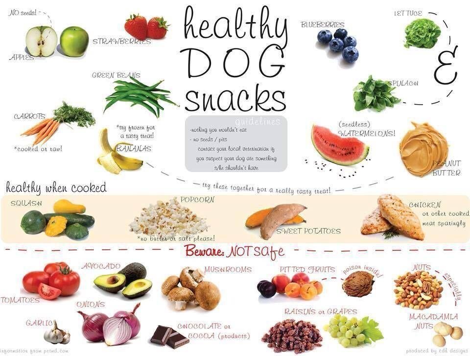Fresh vegetables and fruits prepared safely for dog consumption on a wooden surface.
