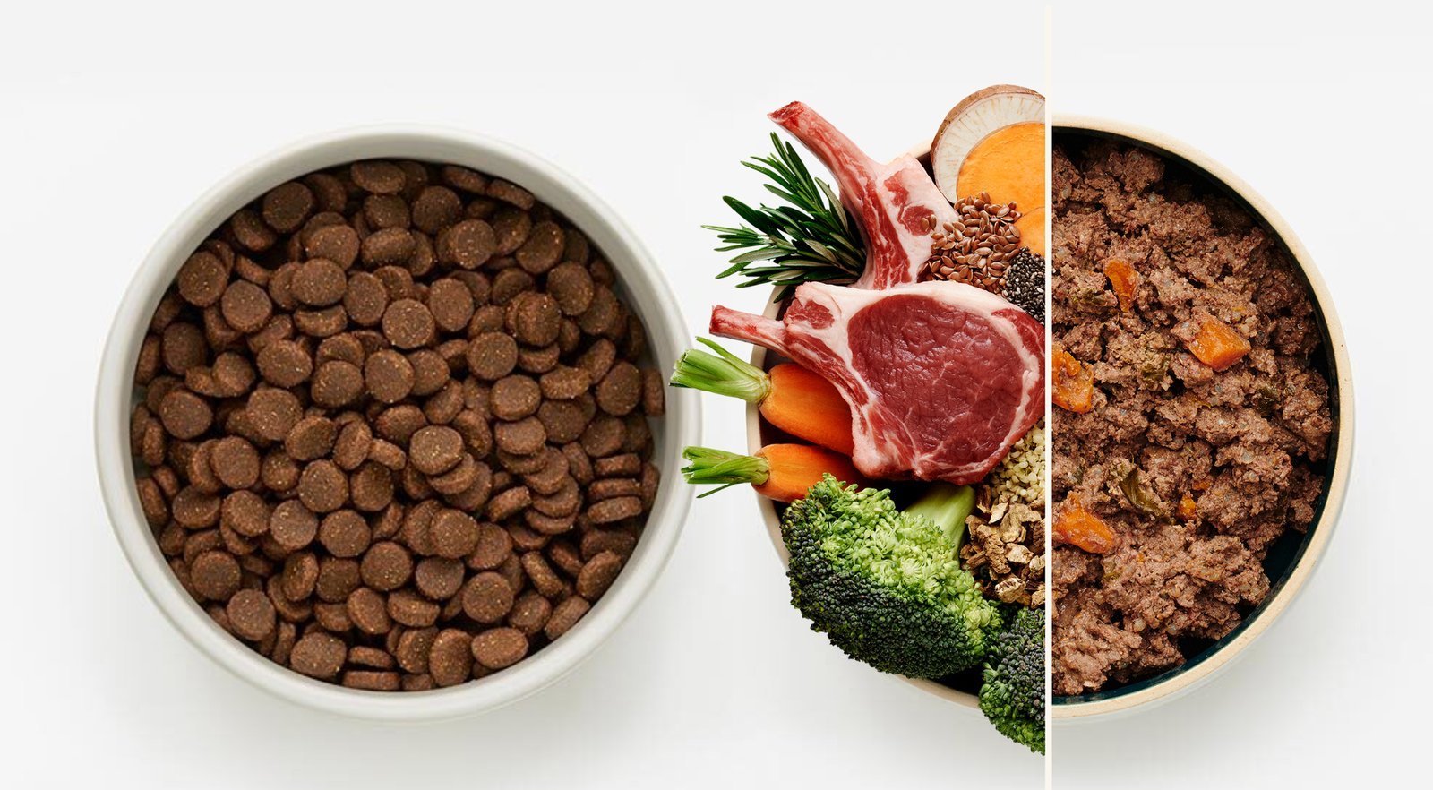 Carefully prepared soft fresh food in a bowl for dogs with special dietary needs.