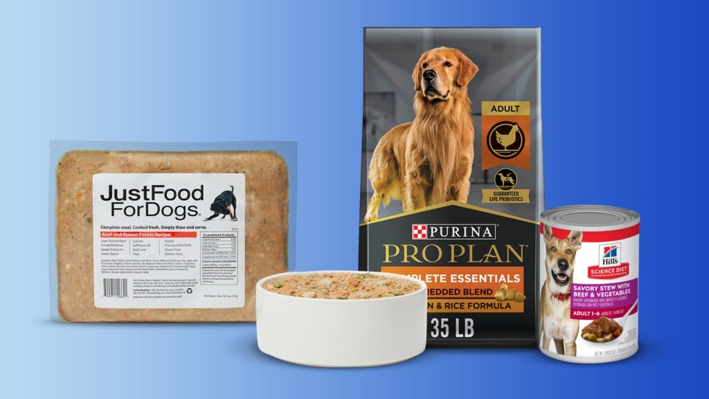 An elderly dog resting near a bag of senior-specific canine food.