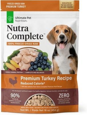 A dog relaxing near a bowl of complete dog food in a sunlit room.