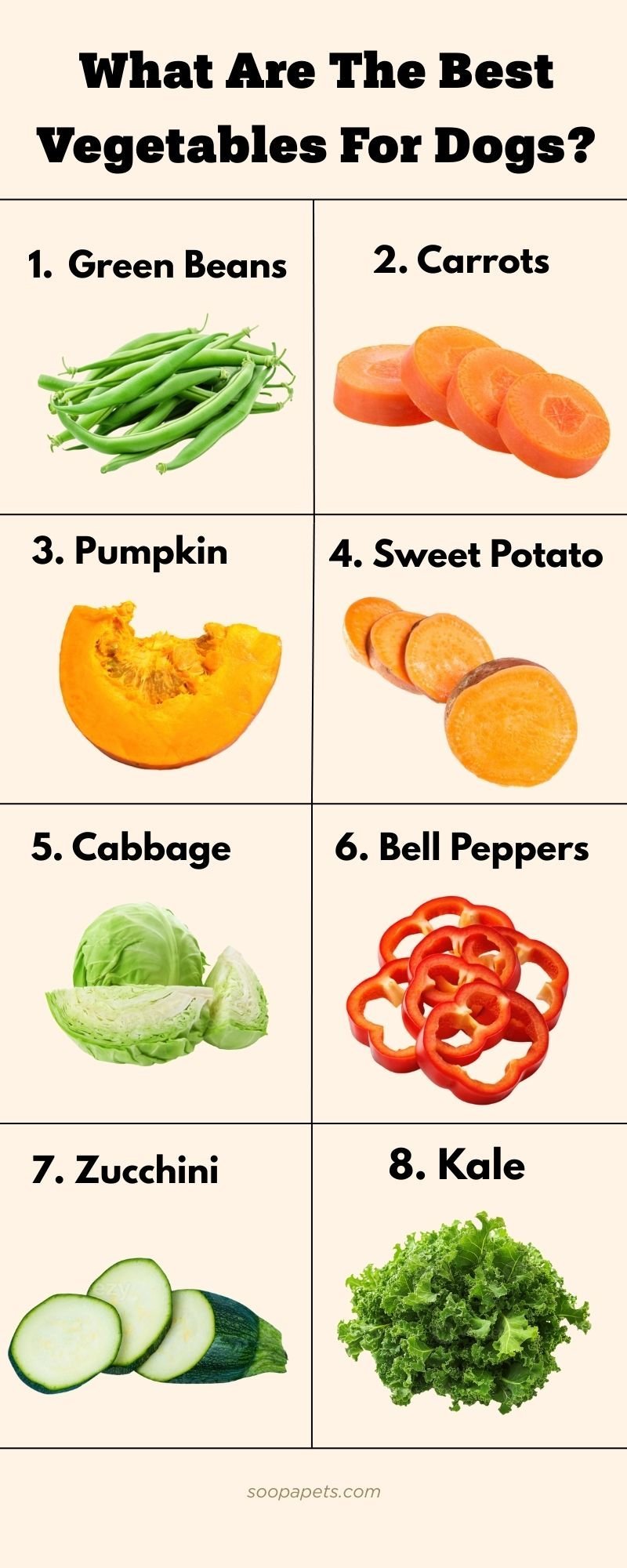A person carefully measuring portions of dog food to ensure health.
