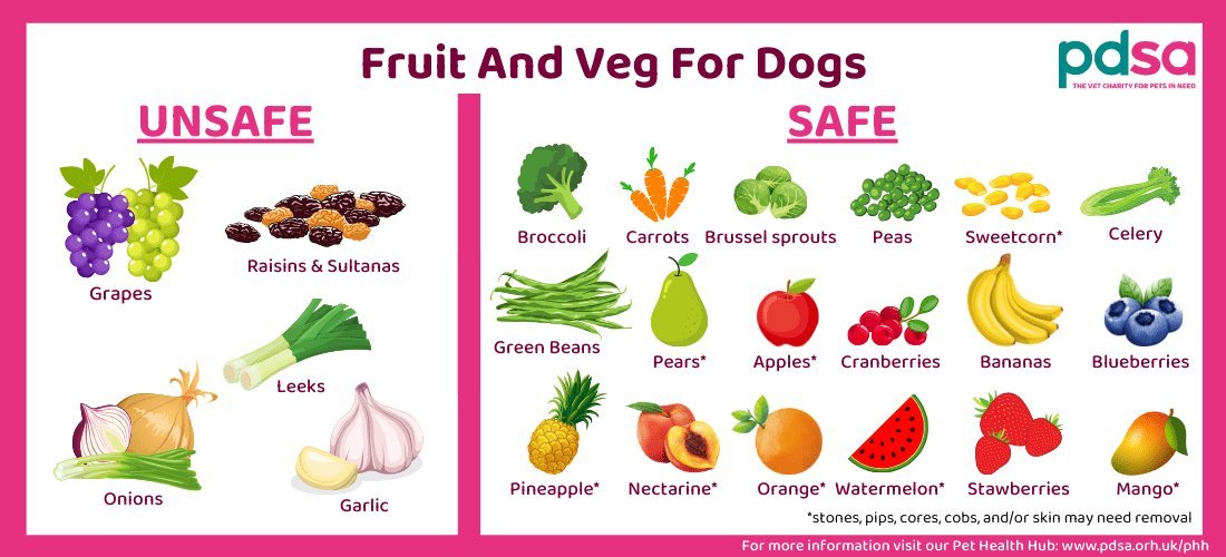 Fresh and safe human foods suitable for a dog served in a small bowl.