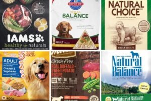 A bowl of balanced dog food surrounded by fresh raw ingredients on wood.